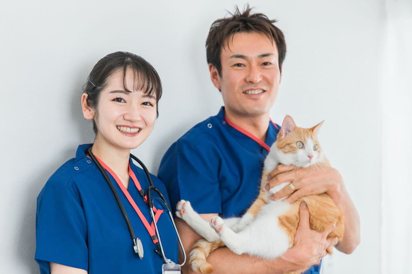 人向け医療用と同じ